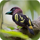 WWW,nnn23·COM网站APP